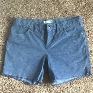 Carve Dog Town shorts - Blue corduroy -Size 6